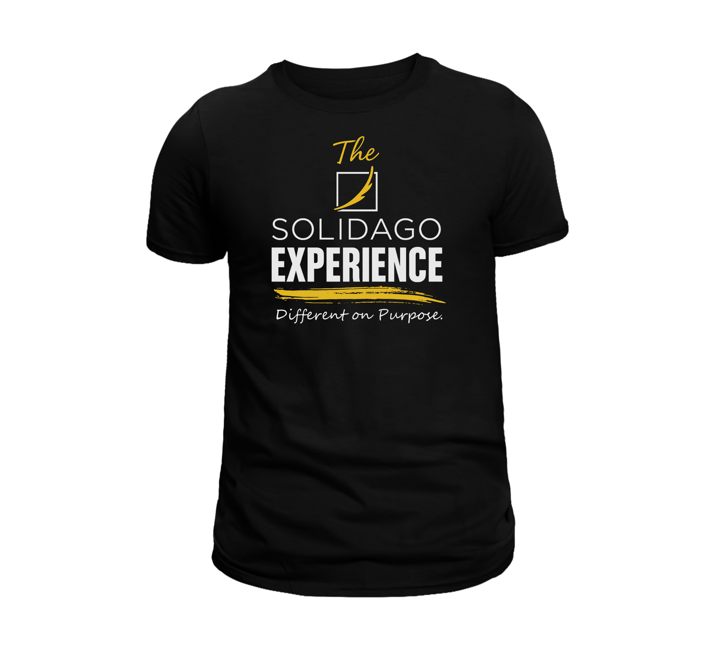 The Solidago Experience - Various