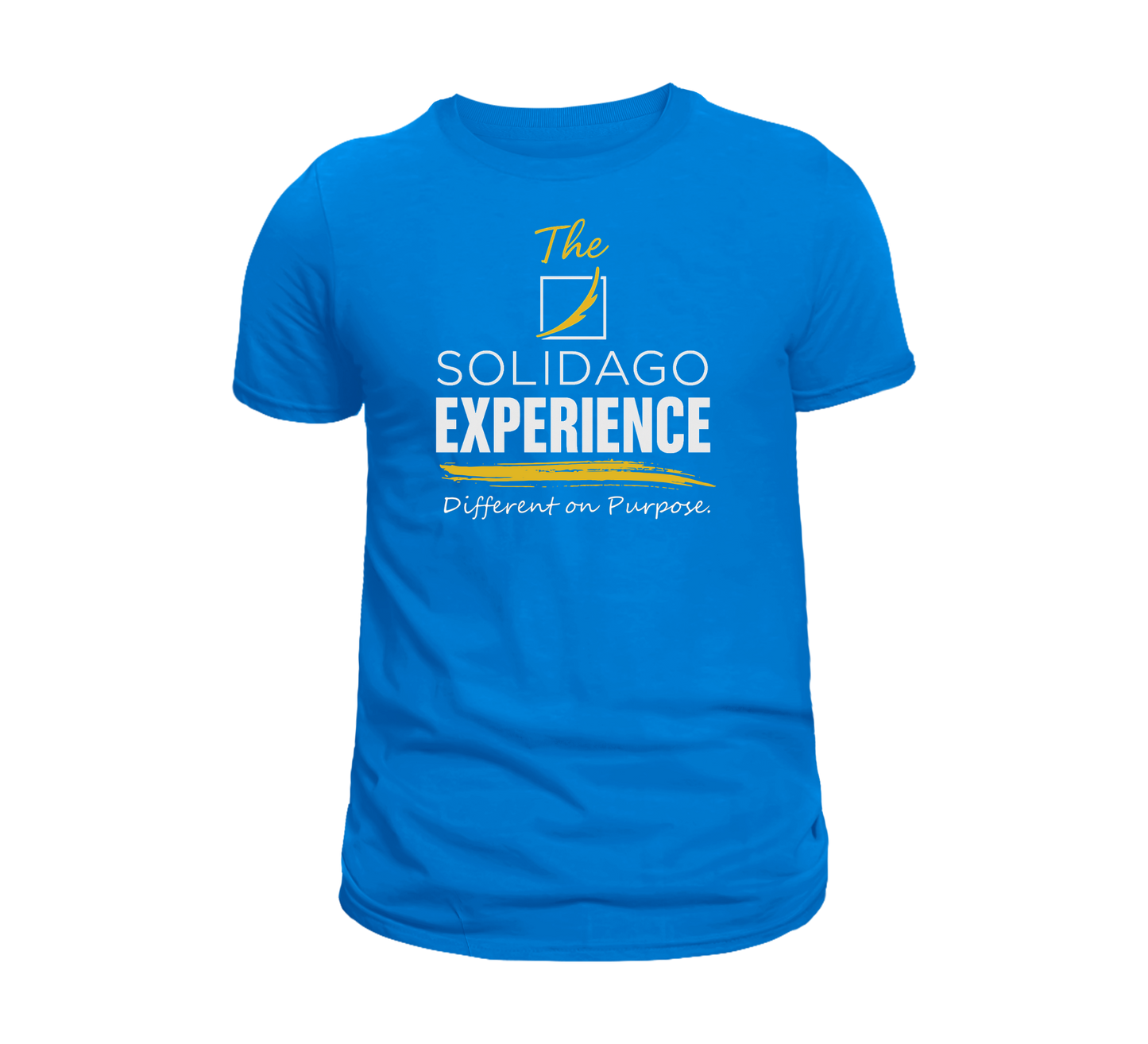 The Solidago Experience - Various