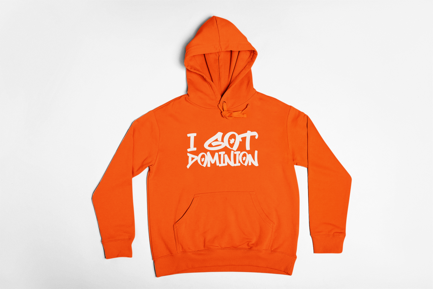 NEW! "I GOT DOMINION" Hoodie
